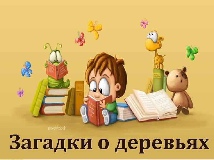 Загадки о деревьях 