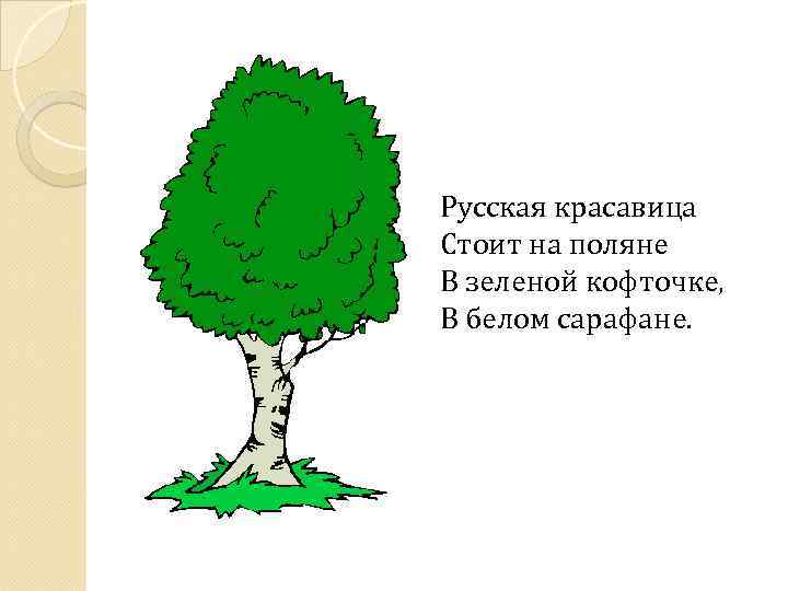 Русская красавица Стоит на поляне В зеленой кофточке, В белом сарафане. 