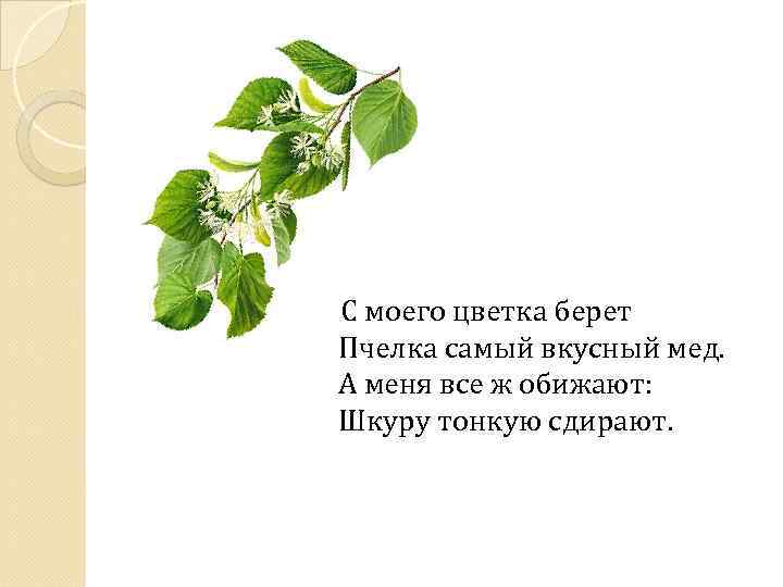  С моего цветка берет Пчелка самый вкусный мед. А меня все ж обижают: