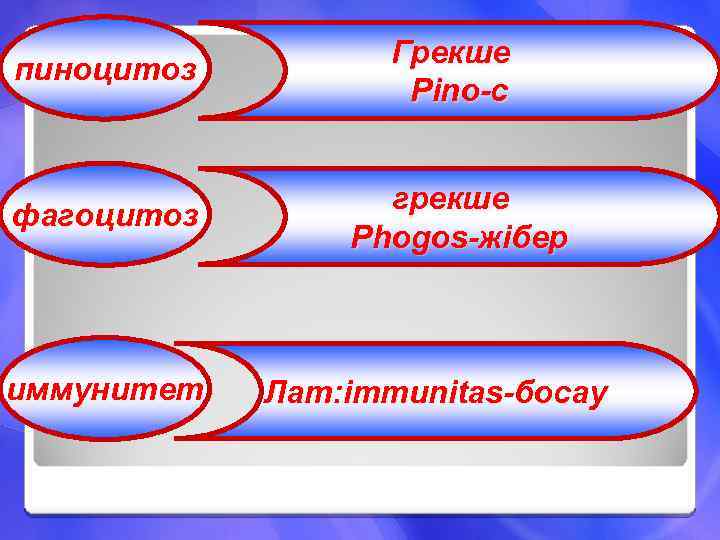 пиноцитоз Грекше Pino-с фагоцитоз грекше Phogos-жібер иммунитет Лат: immunitas-босау 