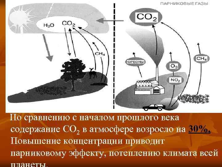 По сравнению с началом прошлого века содержание CO 2 в атмосфере возросло на 30%,