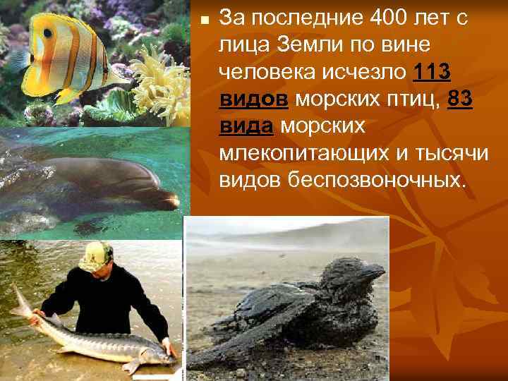 n За последние 400 лет с лица Земли по вине человека исчезло 113 видов
