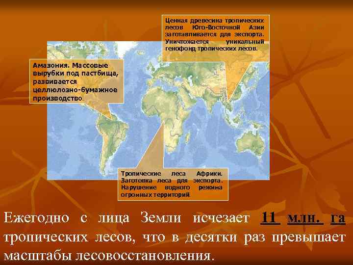 Ценная древесина тропических лесов Юго-Восточной Азии заготавливается для экспорта. Уничтожается уникальный генофонд тропических лесов.