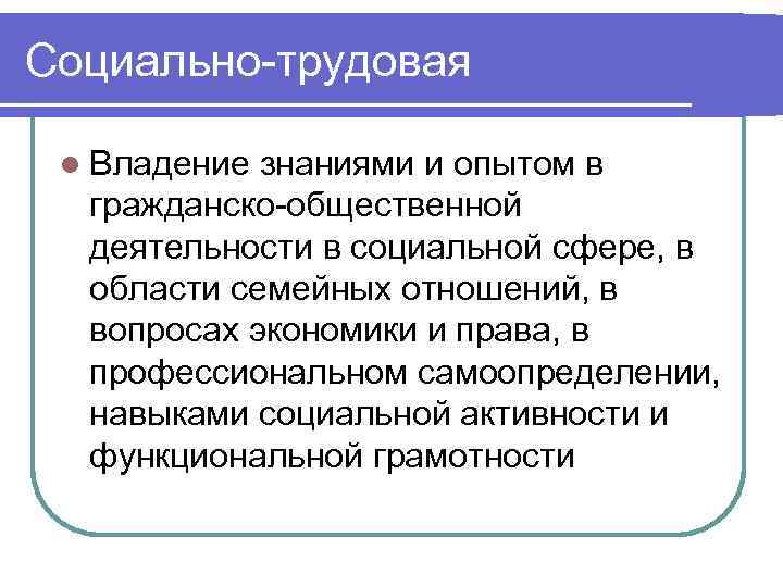 Социально-трудовая l Владение знаниями и опытом в гражданско-общественной деятельности в социальной сфере, в области