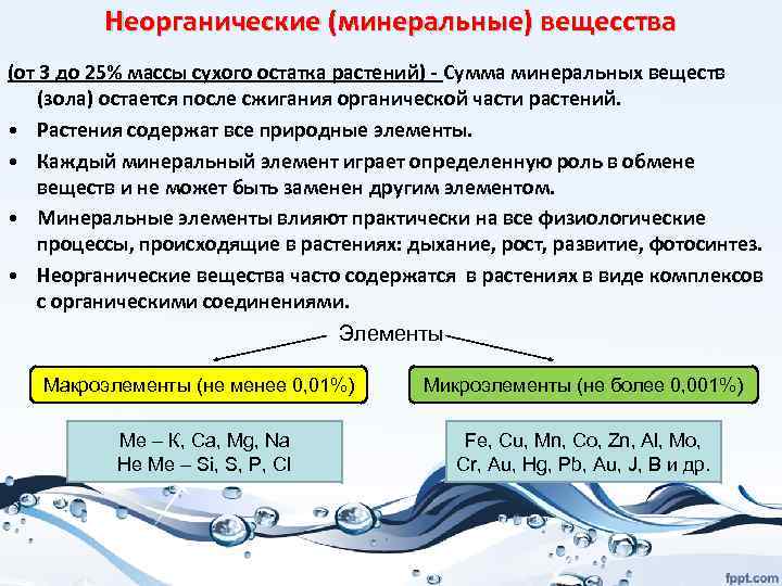 Неорганические (минеральные) вещесства (от 3 до 25% массы сухого остатка растений) - Сумма минеральных