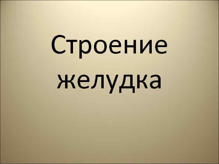 Строение желудка 