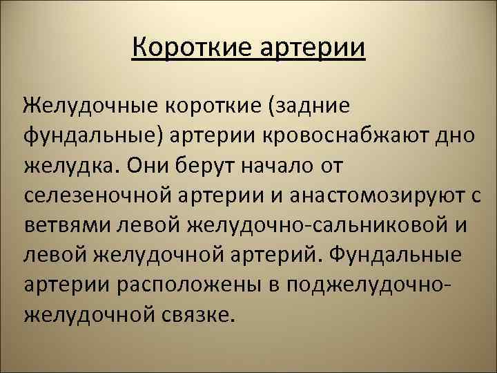 Короткие артерии Желудочные короткие (задние фундальные) артерии кровоснабжают дно желудка. Они берут начало от