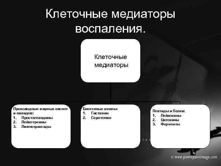 Клеточные медиаторы воспаления. Клеточные медиаторы Производные жирных кислот и липидов: 1. Простагландины 2. Лейкотреины