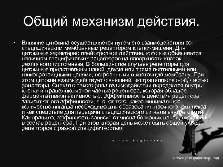 Общий механизм действия. • Влияние цитокина осуществляется путем его взаимодействия со специфическим мембранным рецептором