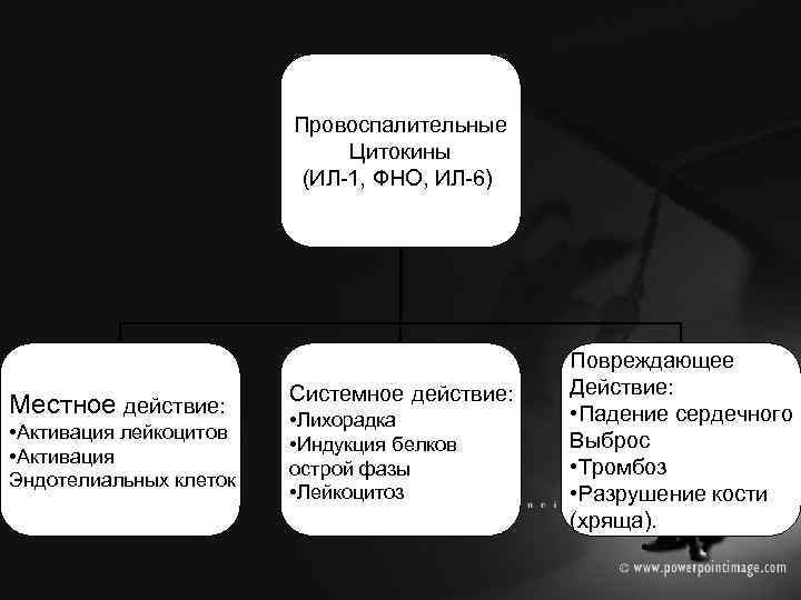 Провоспалительные Цитокины (ИЛ-1, ФНО, ИЛ-6) Местное действие: • Активация лейкоцитов • Активация Эндотелиальных клеток