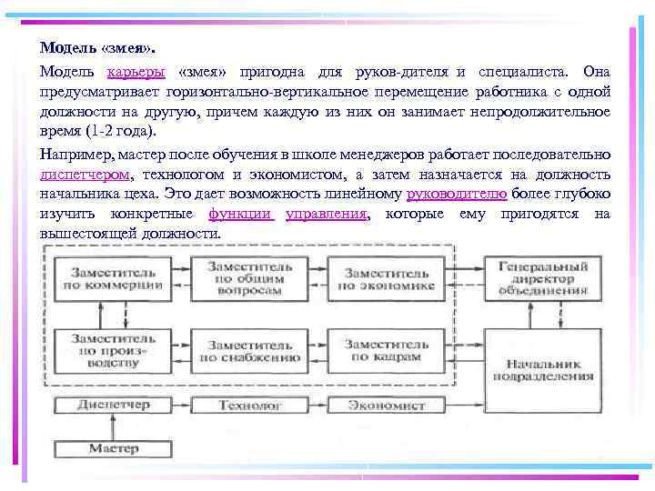 Модель «змея» . Модель карьеры «змея» пригодна для руков дителя и специалиста. Она предусматривает