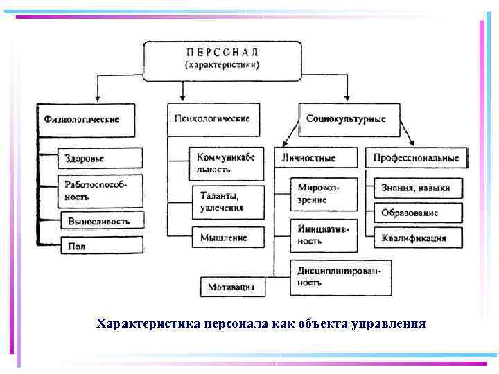 Характеристика персонала