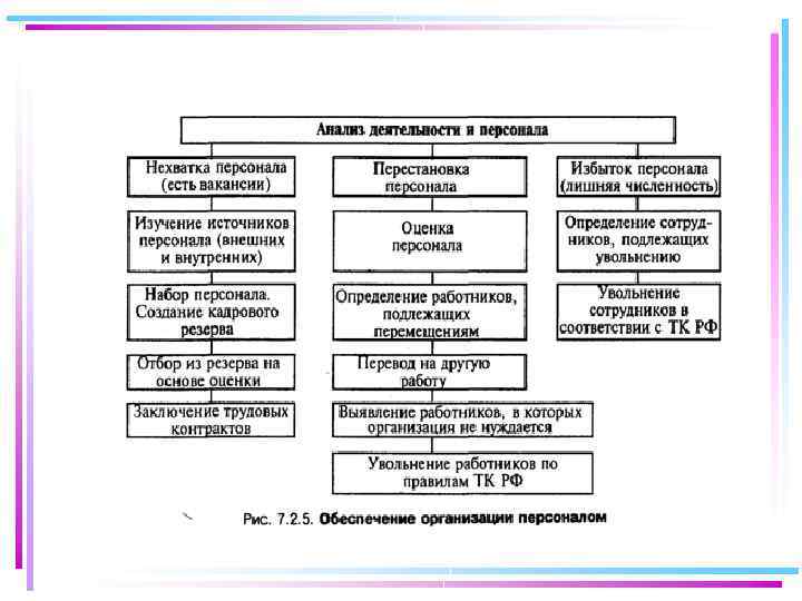 Государственное и муниципальное управление мгу учебный план