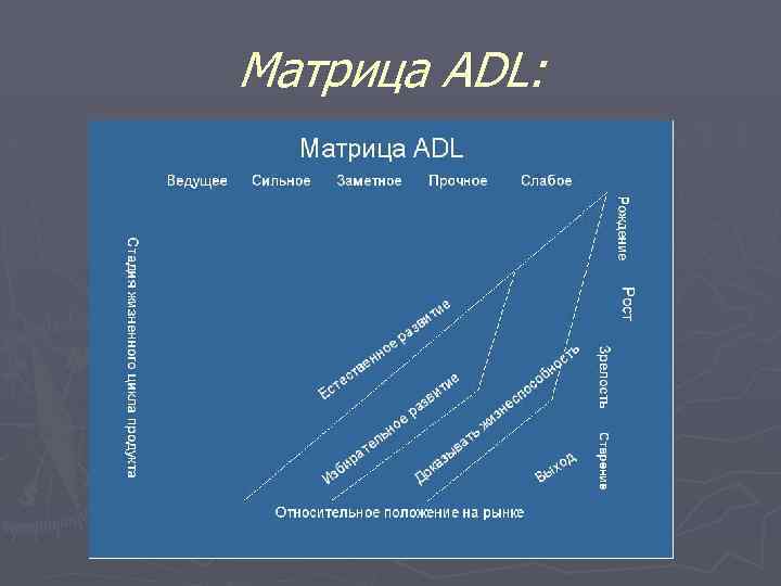 Матрица ADL: 