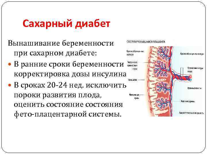 Сахарный диабет Вынашивание беременности при сахарном диабете: В ранние сроки беременности корректировка дозы инсулина