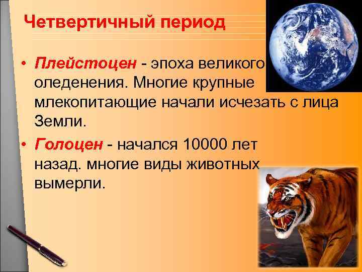 Четвертичный период • Плейстоцен - эпоха великого оледенения. Многие крупные млекопитающие начали исчезать с