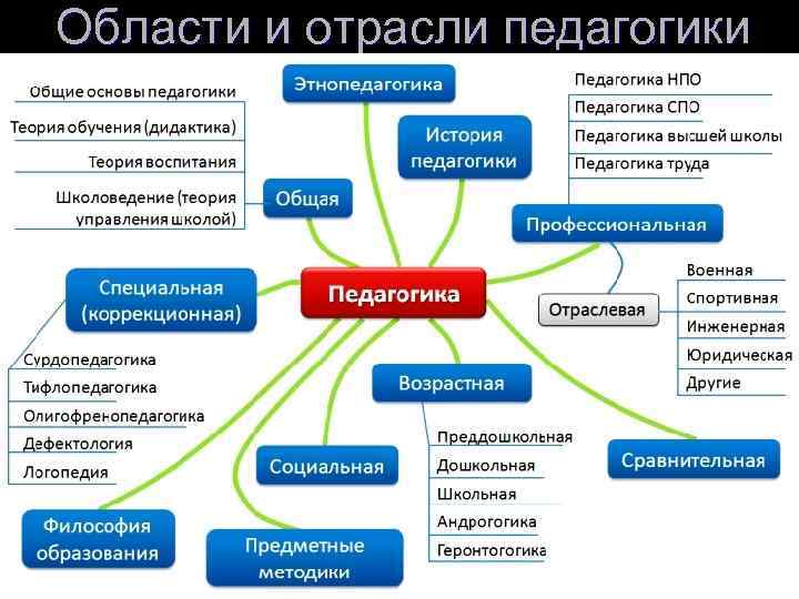 Области и отрасли педагогики 