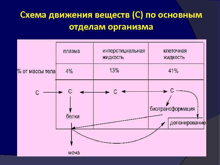 Схема движения веществ (С) по основным отделам организма 