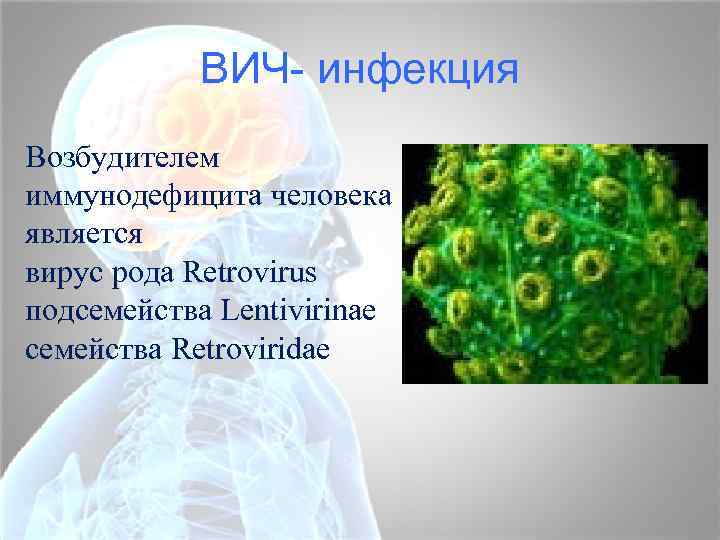 ВИЧ- инфекция Возбудителем иммунодефицита человека является вирус рода Retrovirus подсемейства Lentivirinae семейства Retroviridae 