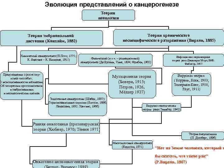 Эволюция представлений о канцерогенезе Теории неоплазии Теория хронического неспецифического раздражения (Вирхов, 1885) Теория эмбриональной