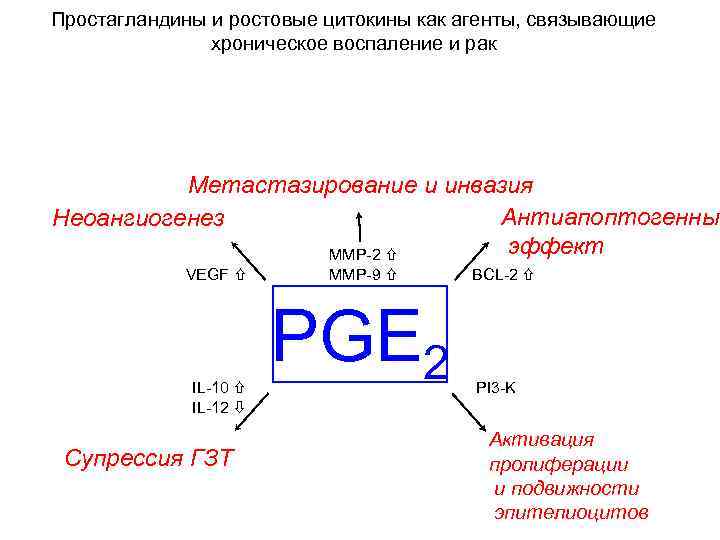 Простагландины и ростовые цитокины как агенты, связывающие хроническое воспаление и рак Метастазирование и инвазия