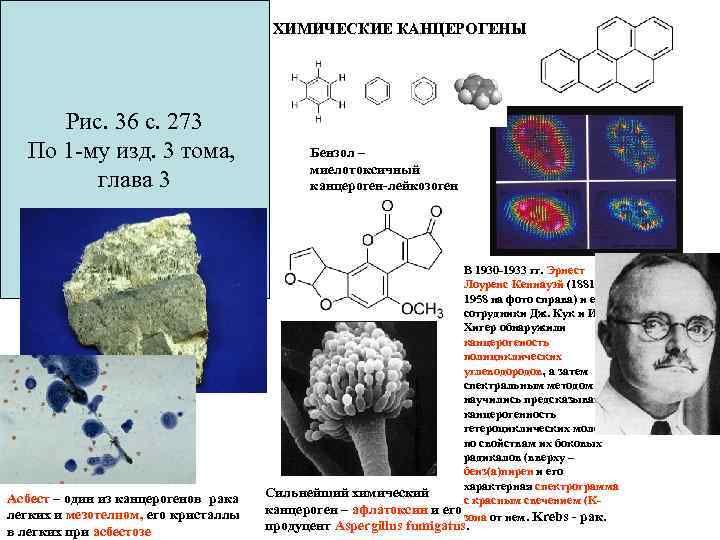 Химические канцерогены