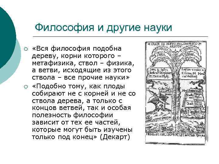 Философия и другие науки ¡ ¡ «Вся философия подобна дереву, корни которого – метафизика,