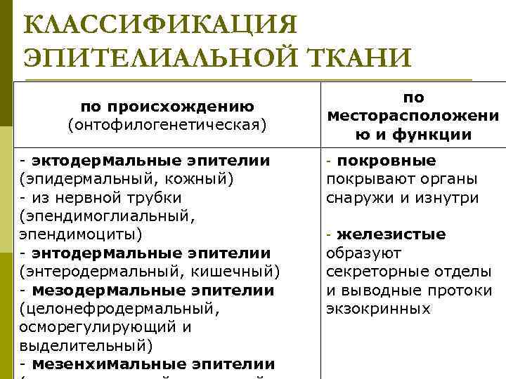 КЛАССИФИКАЦИЯ ЭПИТЕЛИАЛЬНОЙ ТКАНИ по происхождению (онтофилогенетическая) - эктодермальные эпителии (эпидермальный, кожный) - из нервной