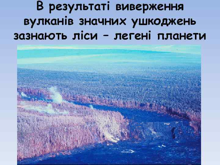 В результаті виверження вулканів значних ушкоджень зазнають ліси – легені планети 