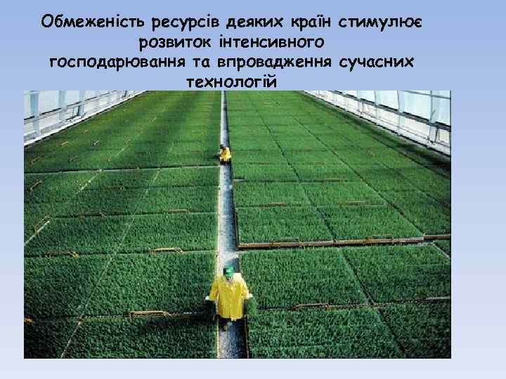 Обмеженість ресурсів деяких країн стимулює розвиток інтенсивного господарювання та впровадження сучасних технологій 