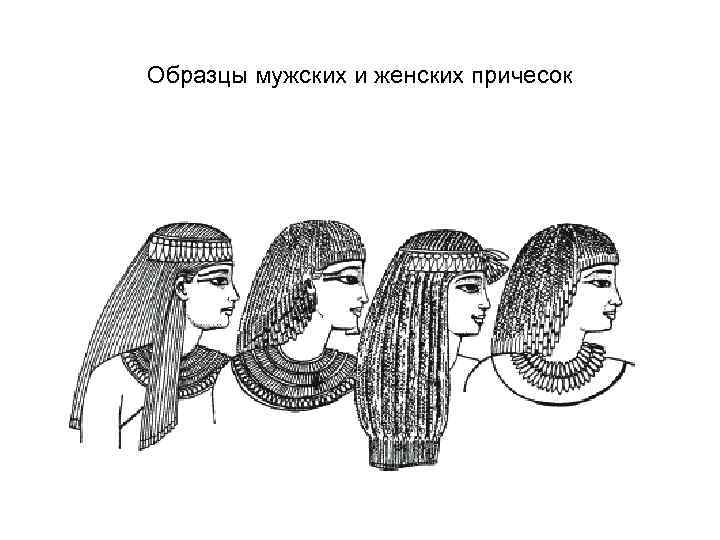 Образцы мужских и женских причесок 