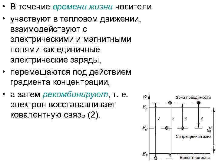  • В течение времени жизни носители • участвуют в тепловом движении, взаимодействуют с
