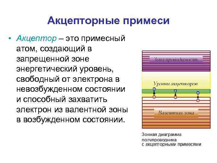 Акцепторные примеси • Акцептор – это примесный атом, создающий в запрещенной зоне энергетический уровень,