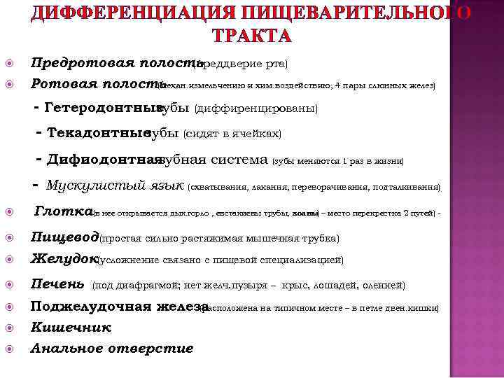ДИФФЕРЕНЦИАЦИЯ ПИЩЕВАРИТЕЛЬНОГО ТРАКТА Предротовая полость (преддверие рта) Ротовая полость (механ. измельчению и хим. воздействию;