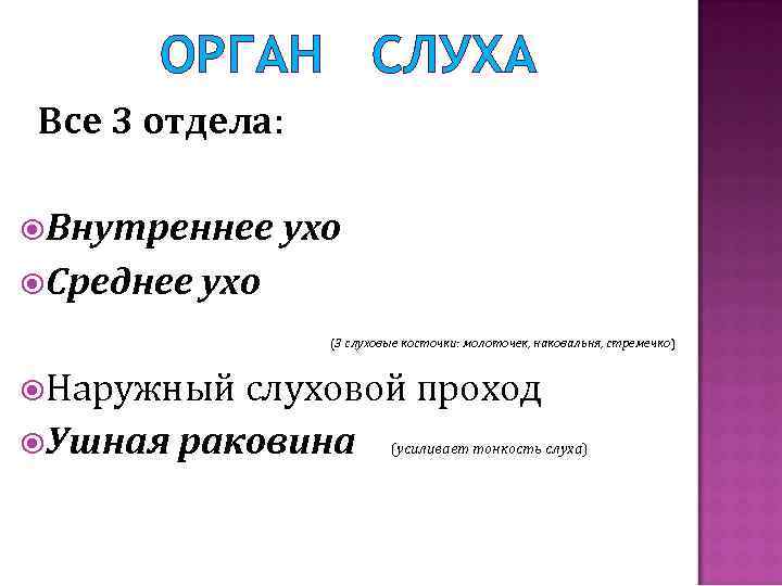 ОРГАН СЛУХА Все 3 отдела: Внутреннее ухо Среднее ухо (3 слуховые косточки: молоточек, наковальня,