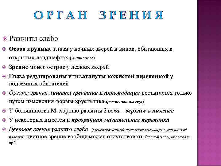 ОРГАН ЗРЕНИЯ Развиты слабо Особо крупные глаза у ночных зверей и видов, обитающих в