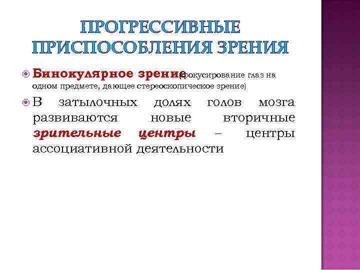 ПРОГРЕССИВНЫЕ ПРИСПОСОБЛЕНИЯ ЗРЕНИЯ Бинокулярное зрение (фокусирование глаз на одном предмете, дающее стереоскопическое зрение) В