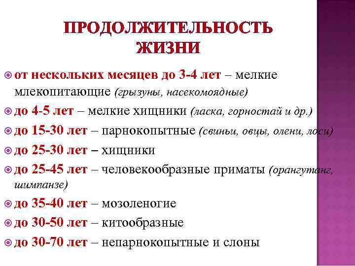 ПРОДОЛЖИТЕЛЬНОСТЬ ЖИЗНИ от нескольких месяцев до 3 -4 лет – мелкие млекопитающие (грызуны, насекомоядные)
