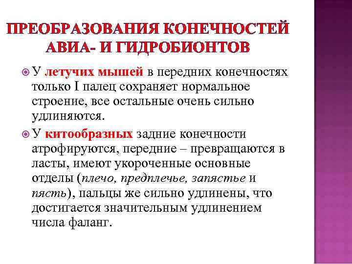 ПРЕОБРАЗОВАНИЯ КОНЕЧНОСТЕЙ АВИА- И ГИДРОБИОНТОВ У летучих мышей в передних конечностях только I палец