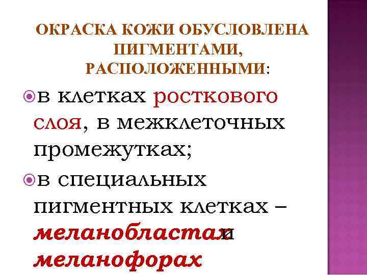 ОКРАСКА КОЖИ ОБУСЛОВЛЕНА ПИГМЕНТАМИ, РАСПОЛОЖЕННЫМИ: в клетках росткового слоя, в межклеточных промежутках; в специальных