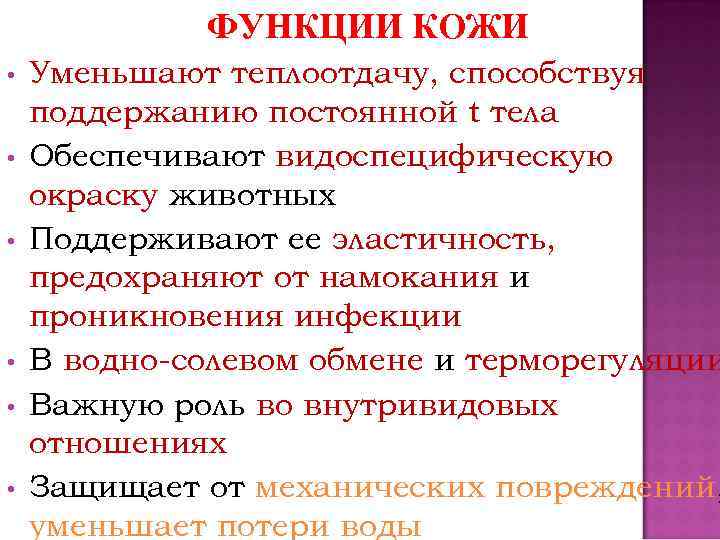 ФУНКЦИИ КОЖИ • • • Уменьшают теплоотдачу, способствуя поддержанию постоянной t тела Обеспечивают видоспецифическую