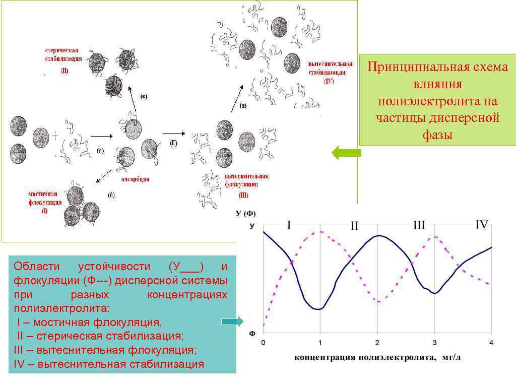 Принципиальная схема влияния полиэлектролита на частицы дисперсной фазы Области устойчивости (У___) и флокуляции (Ф---)