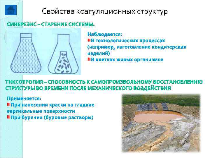 Свойства коагуляционных структур Наблюдается: В технологических процессах (например, изготовление кондитерских изделий) В клетках живых