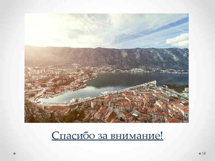 Спасибо за внимание! 18 