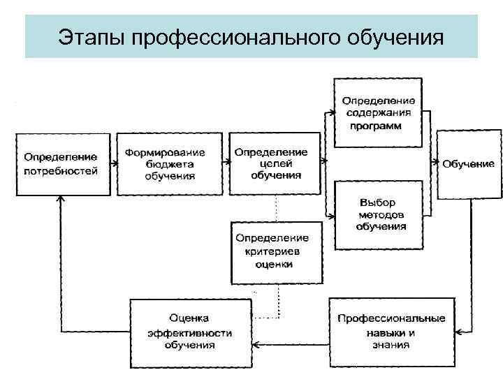 Этап подготовки данных для обучения. Этапы профессионального обучения. Этап профессионального обучения состоит. Основные этапы процесса профессионального обучения. Этапы профессиональной подготовки в вузе.