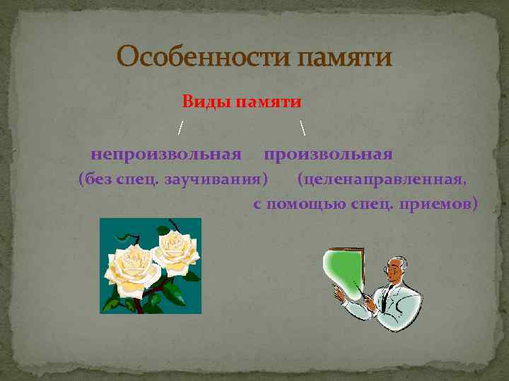 Особенности памяти Виды памяти /  непроизвольная (без спец. заучивания) (целенаправленная, с помощью спец.