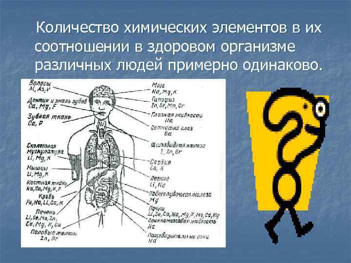  Количество химических элементов в их соотношении в здоровом организме различных людей примерно одинаково.