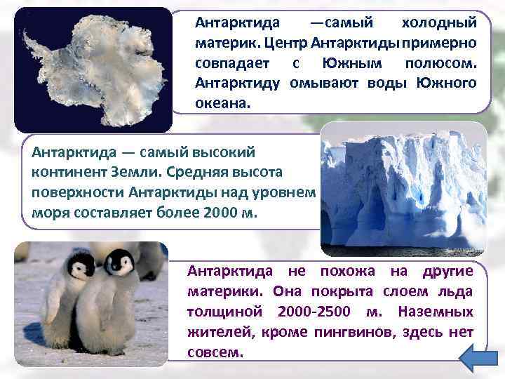 Антарктида —самый холодный материк. Центр Антарктиды примерно совпадает с Южным полюсом. Антарктиду омывают воды
