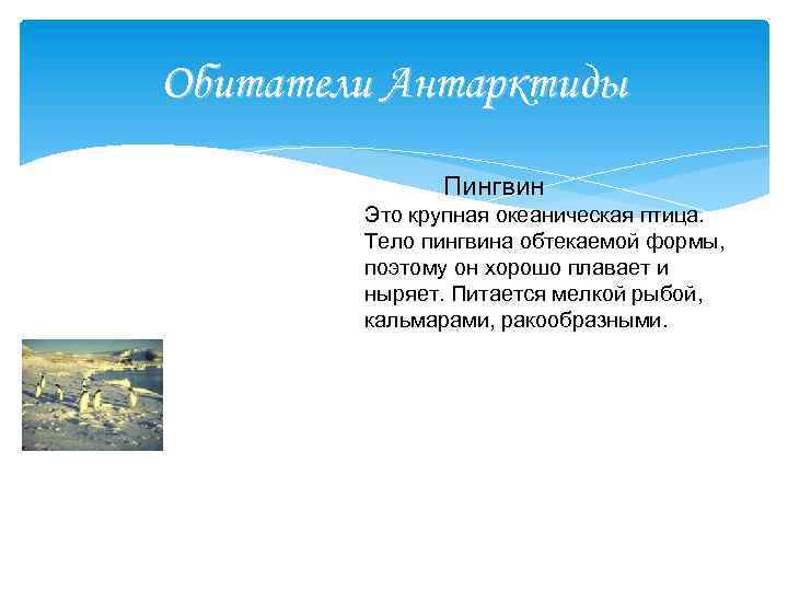 Обитатели Антарктиды Пингвин Это крупная океаническая птица. Тело пингвина обтекаемой формы, поэтому он хорошо
