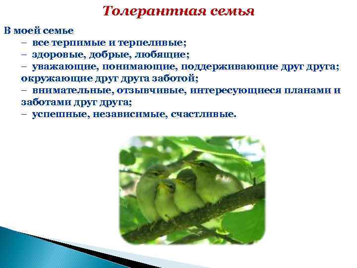 Толерантная семья В моей семье – все терпимые и терпеливые; – здоровые, добрые, любящие;